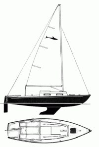 shark_24-line-drawing